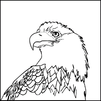 bald-eagle-color-page-3